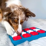 Купить ОН игра-головоломка для собак Petstages Brick, 2 (средний) уровень сложности Nina Ottosson в Калиниграде с доставкой (фото 2)