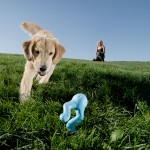 Zogoflex Игрушка для лакомств для собак Tizzi Mini 12 см голубая
