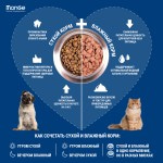 Паштет для собак Monge Dog Fresh консервы свинина 100г