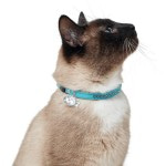 Hunter Smart ошейник для кошек со стразами Modern Luxus кожзам бирюзовый