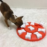 Купить ОН игра-головоломка для собак Petstages Smart, 1 (начинающий) уровень сложности Nina Ottosson в Калиниграде с доставкой (фото 4)