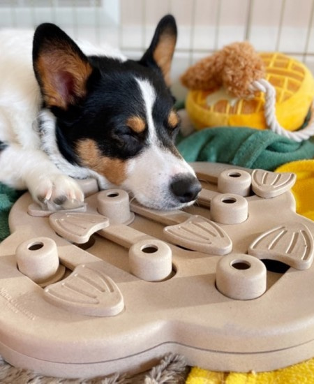 умные игрушки для собаки