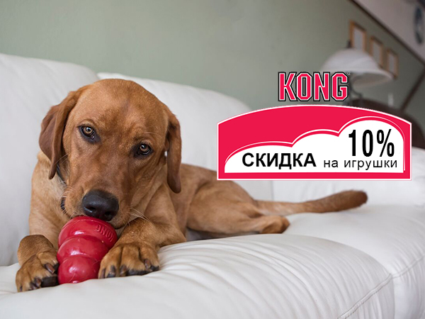 Скидка -10% на игрушки Kong!