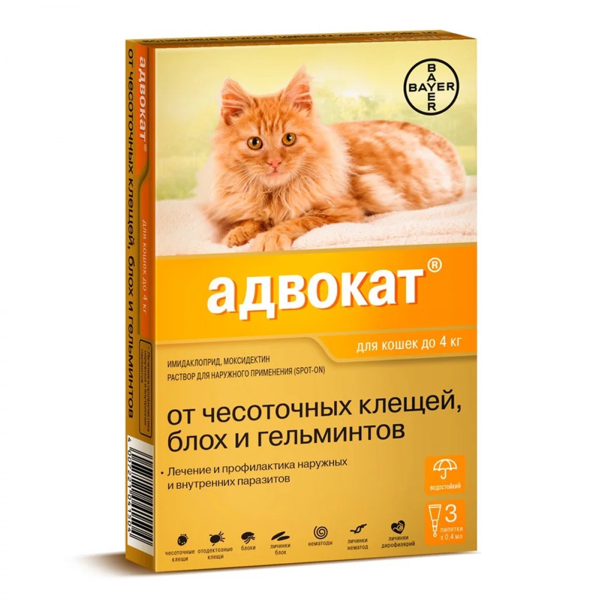 Капли Для Кошек Фото