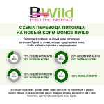 Сухой корм с низким содержанием злаков Monge BWild Dog Low Grain Goose из мяса гуся для взрослых собак всех пород 12 кг