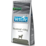 Купить Farmina Vet Life диета для стерилизованных собак более 10кг контроль веса, профилактика МКБ 2 кг Farmina Vet Life в Калиниграде с доставкой (фото)