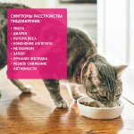 HILLS Prescription Diet Gastrointestinal Biome диетический корм для кошек c курицей 1.5кг