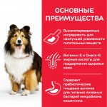 Сухой корм Hill's Science Plan Sensitive Stomach & Skin для взрослых собак средних пород с чувствительной кожей и/ или пищеварением, с курицей 12 кг