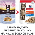 Hill's Ideal Balance влажный корм для кошек с аппетитной форелью, 85г