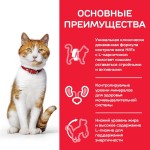 Влажный корм Hill's Science Plan для молодых стерилизованных кошек и кастрированных котов, пауч с форелью в соусе, 85г