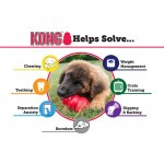 KONG Classic M средняя игрушка для наполнения ее лакомством для собак средних пород (5-15 кг) 8х6 см