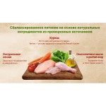 Корм влажный для кошек Nature's Table, для кошек, с курицей в соусе, 85 г