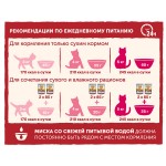 Корм влажный для кошек Nature's Table, для кошек, с лососем в соусе, 85 г