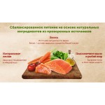 Корм влажный для кошек Nature's Table, для кошек, с лососем в соусе, 85 г