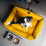 Лежанка Pets&U, размер XS – 50х40см, для маленьких пород собак и кошек до 4 кг, жёлтая
