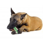Купить Petstages игрушка для собак Хрустящая косточка резиновая 10 см малая Petstages в Калиниграде с доставкой (фото 6)