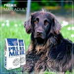 Купить Корм Премиум класса Premil Maxi Adult для собак всех пород 3 кг Premil в Калиниграде с доставкой (фото 2)