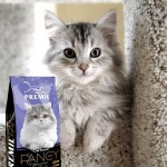 Купить Premil Fancy для привередливых кошек, профилактика МКБ с мясом индейки 400 гр Premil в Калиниграде с доставкой (фото 14)