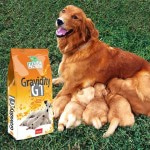 Сухой корм Premil GRAVIDITY (Премил Гравидити Г1) G1 для собак всех пород от периода подготовки к спариванию и до 42 дня беременности с мясом индейки и курицы 12 кг