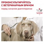 Влажный диетический корм Royal Canin Hypoallergenic Сanine для взрослых собак при пищевой аллергии/непереносимости, 200 гр