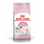 Купить Royal Canin Mother & Babycat 34 для котят от 1 до 4 месяцев и кормящих кошек 400 гр Royal Canin в Калиниграде с доставкой (фото)