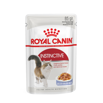 Корм консервированный Royal Canin, для кошек старше 1 года, желе, 85 г