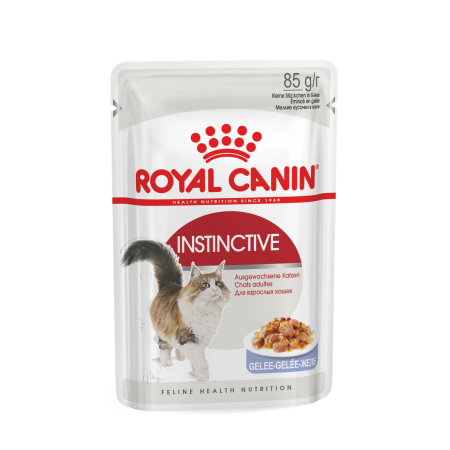 Корм консервированный Royal Canin, для кошек старше 1 года, желе, 85 г