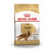 Royal Canin Cocker Adult для взрослых собак породы английский или американский кокер спаниель 3 кг