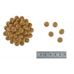 Сухой диетический корм Royal Canin Anallergenic AN 24 Feline для кошек с тяжелой формой пищевой аллергии или непереносимости 2 кг