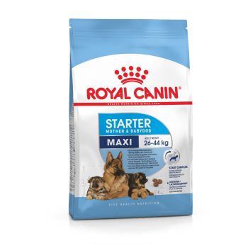 Royal Canin Maxi Starter для беременных собак крупных размеров, в период лактации и щенков 4 кг