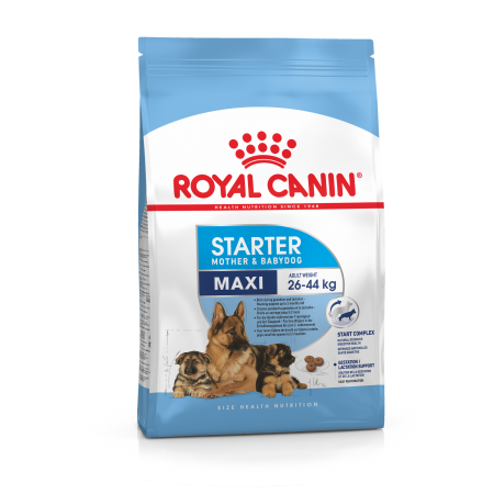 Royal Canin Maxi Starter для беременных собак крупных размеров, в период лактации и щенков 4 кг