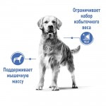 Купить Royal Canin Medium Light Weight Care для взрослых и стареющих собак средних размеров, склонных к набору лишнего веса 3 кг Royal Canin в Калиниграде с доставкой (фото 2)