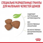 Купить Royal Canin Mini Puppy корм для щенков собак мелких размеров, 2 кг Royal Canin в Калиниграде с доставкой (фото 8)