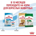 Купить Royal Canin Mini Puppy корм для щенков собак мелких размеров, 4 кг Royal Canin в Калиниграде с доставкой (фото 7)