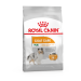 Royal Canin Mini Coat Care для взрослых и стареющих собак мелких размеров с тусклой и сухой шерстью 3 кг