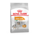 Royal Canin Mini Coat Care для взрослых и стареющих собак мелких размеров с тусклой и сухой шерстью 1 кг