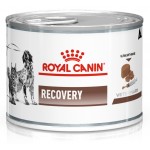 Купить Royal Canin Recovery диета для взрослых собак и кошек в период выздоровления или при липидозе печени у кошек 195 г Royal Canin в Калиниграде с доставкой (фото)