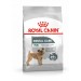 Royal Canin Mini Dental Care для взрослых мелких собак, при чувствительности зубов и десен 3 кг