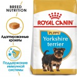 Купить Royal Canin Yorkshire Terrier Puppy для щенков йоркширского терьера в возрасте до 10 месяцев 1,5 кг Royal Canin в Калиниграде с доставкой (фото 2)