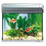 Tetra AquaArt LED Goldfish аквариумный комплекс 20 л