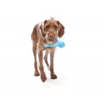Zogoflex Игрушка для лакомств для собак Tizzi Mini 12 см голубая
