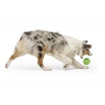 West Paw Zogoflex игрушка для собак мячик Rando 6 см оранжевый