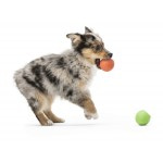 West Paw Zogoflex игрушка для собак мячик Rando 9 см салатовый