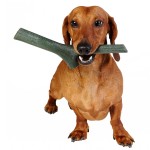 BAMA PET игрушка для собак палочка TUTTO MIO 25 см, резина, цвета в ассортименте