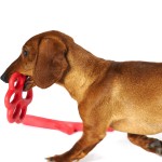 BAMA PET игрушка для собак ORMA 15см, резина, цвета в ассортименте