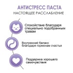 Gimcat Expert Line Anti-Stress Paste (ДжимКэт Анти-Стресс Паст) витаминная добавка для нормализации обмена веществ у кошек в период стресса 50 гр