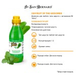 Купить Iv San Bernard Fruit of the Groomer Mint Шампунь для любого типа шерсти с витамином В6 500 мл Iv San Bernard в Калиниграде с доставкой (фото 1)