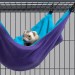 MidWest гамак для хорьков Hammock Hideaway большой 43х33х20 см