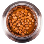 Беззерновой влажный корм для собак Monge Dog GRILL POUCH AGNELLO con ORTAGGI гриль с ягненком и овощами 100 гр