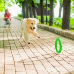 Купить PitchDog 30 - Игровое кольцо для аппортировки собак d 28 зеленое PitchDog в Калиниграде с доставкой (фото 4)